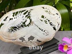 Adorable Dragon Carved Sea Shell, Dragon Carved Shell, Mother of Pearls + Stand