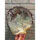 Antique Vintage Carved Cameo Scallop Shell With Fishermen Victorian 9.5