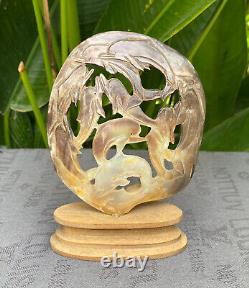 Carved Dolphin Seashell stunning Mother of pearl, carved Skull Shell incl. Stand