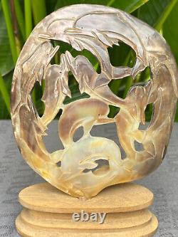 Carved Dolphin Seashell stunning Mother of pearl, carved Skull Shell incl. Stand