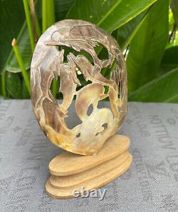 Carved Dolphin Seashell stunning Mother of pearl, carved Skull Shell incl. Stand