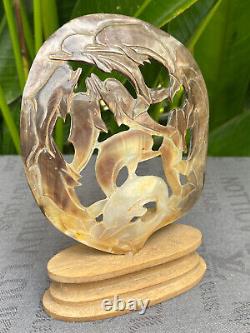 Carved Dolphin Seashell stunning Mother of pearl, carved Skull Shell incl. Stand