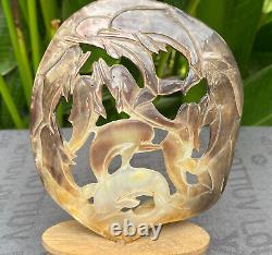 Carved Dolphin Seashell stunning Mother of pearl, carved Skull Shell incl. Stand