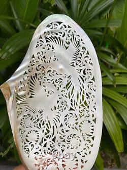 Carved Phonix Humming Bird Large Seashell Mother of pearl carved Shell + Stand