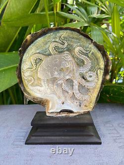 Carved Seashell, stunning Mother of pearl, carved Octopus Shell incl. Stand