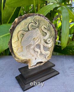 Carved Seashell, stunning Mother of pearl, carved Octopus Shell incl. Stand