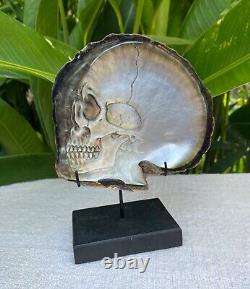 Carved Skull shell Ocean Sea Sell Mother of Pearls with Stand Carved Skull