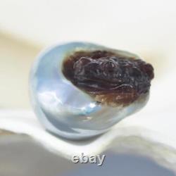 GIANT South Sea Baroque Pearl & Carved Mother-of-Pearl Shell Frog 3.77 g