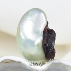 GIANT South Sea Baroque Pearl & Carved Mother-of-Pearl Shell Octopus 4.29 g