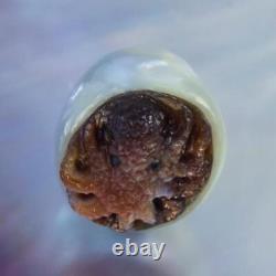 GIANT South Sea Baroque Pearl & Carved Mother-of-Pearl Shell Octopus 4.43 g