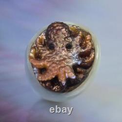 GIANT South Sea Baroque Pearl & Carved Mother-of-Pearl Shell Octopus 4.43 g