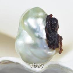 GIANT South Sea Baroque Pearl & Carved Mother-of-Pearl Shell Octopus 6.70 g