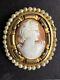 Gorgeous French Antique Carved Cameo In A Golden Frame Surrounded By Pearls