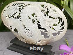 Lovely Carved Dragon Carved Shell carved mother of pearls Genuine Sea Shell