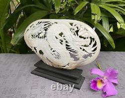 Lovely Carved Dragon Carved Shell carved mother of pearls Genuine Sea Shell