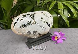 Lovely Carved Dragon Carved Shell carved mother of pearls Genuine Sea Shell