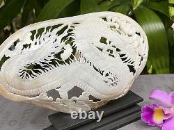 Lovely Carved Dragon Carved Shell carved mother of pearls Genuine Sea Shell