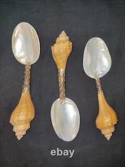 Scoop Spoon Sea Shell Mother Of Pearl Souvenir Hand Carved Collectible Rare Gift