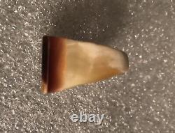 Victorian Mother of Pearl Carved Shell Ring Rare