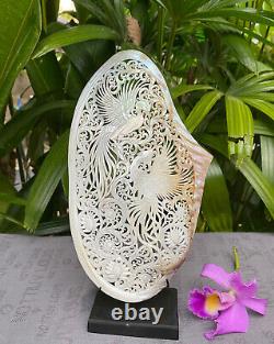 Coquillage sculpté de grande taille avec un coquillage de mère perle en forme d'oiseau-mouche Phénix + support