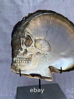 Coquille de crâne sculptée dans l'océan mer vendre Mère de perles avec support crâne sculpté