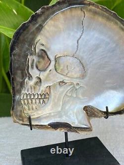 Coquille de crâne sculptée dans l'océan mer vendre Mère de perles avec support crâne sculpté