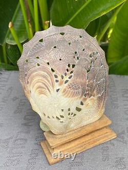 Coquille de crâne sculptée de coquillage océan mer vendre mère de perles avec support Coq sculpté