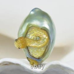Énorme perle de culture des mers du Sud, baroque dorée, sculpture de serpent en nacre, non percée, 4,0 g