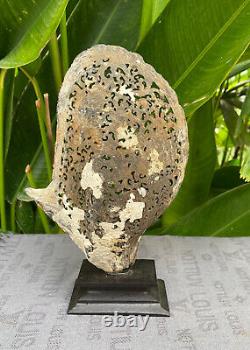 Oiseau Phoenix sculpté en coquillage magnifique coquille sculptée en nacre incluse. Stand