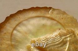 Plaque en coquille d'huître mère-perle antique, assiette à bordure sculptée à la main, design rare1